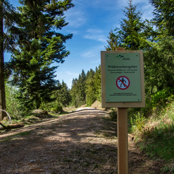 ©Daniel Müller (Nationalpark Schwarzwald)